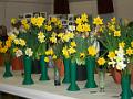 Spring Show 2008